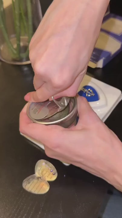 Sea Oyster Pearl Necklace